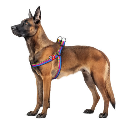Шлея для собак WAUDOG Nylon з QR паспортом &quot;Лінія 1&quot; пластиковий фастекс XL (324-0006)