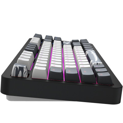 Клавіатура Dark Project ALU87 Bushido ABS RGB Mech G3MS Moonstone Black/White (DPKB_BUSHIDO_87_ANSI_UA)
