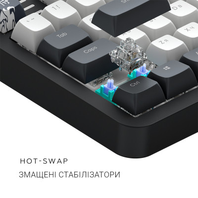 Клавіатура Dark Project ALU87 Bushido ABS RGB Mech G3MS Moonstone Black/White (DPKB_BUSHIDO_87_ANSI_UA)