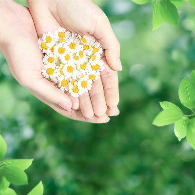 Гігієнічні прокладки Naturella Ultra Normal 20 шт (8001090585592)