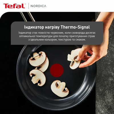 Сковорода Tefal Nordica, 20см, нержавіюча сталь (H8710255)