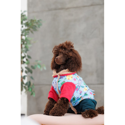 Костюм для тварин Pet Fashion Alisa S (4823082437511)