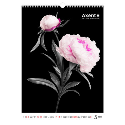 Календар Axent настінний А3 2025 рік One color art (8804-25-2-A)
