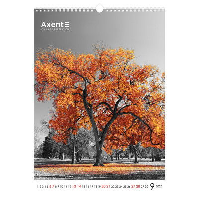 Календар Axent настінний А3 2025 рік One color art (8804-25-2-A)