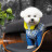 Костюм для тварин Pet Fashion Leaf XS2 зелений (4823082431458)