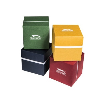 Наручний годинник Slazenger SL.09.6235.3.06