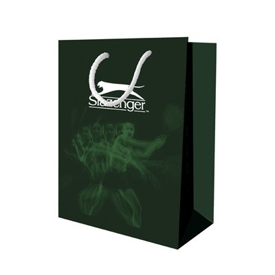Наручний годинник Slazenger SL.09.6235.3.06