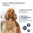 Сухий корм для собак Club 4 Paws Преміум. Контроль ваги з індичкою для середніх та великих порід 5 кг (4820215367868)