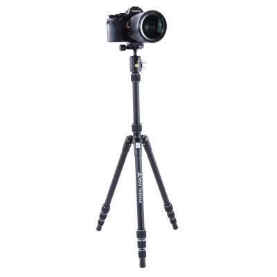 Штатив Vanguard Vesta TB 204AB (DAS301640)