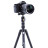 Штатив Vanguard Vesta TB 204AB (DAS301640)
