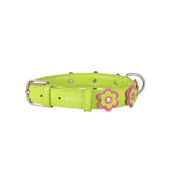 Нашийник для тварин Collar GLAMOUR з оздобленням &quot;Аплікація&quot; Ш 35 мм Д 46-60 см салатовий (35045)