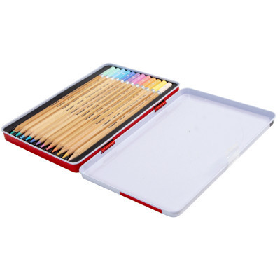 Олівці кольорові Bruynzeel EXPRESSION PASTEL, 12 кольорів (8712079468415)