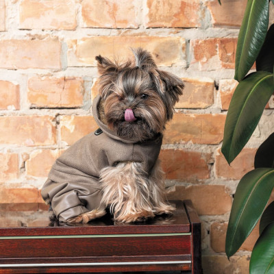 Костюм для тварин Pet Fashion PF Style XS2 бежевий (4823082427963)