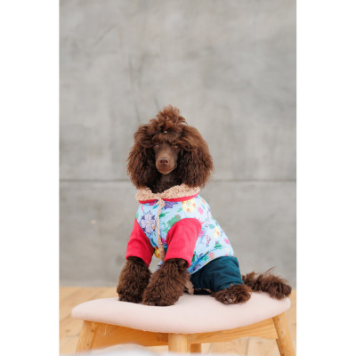 Костюм для тварин Pet Fashion Alisa XS2 (4823082437481)