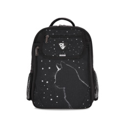 Рюкзак шкільний Bagland BL Відмінник 20 л. Чорний 1455 (00058070) (1123921615)