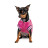 Бомбер для тварин Pet Fashion Grace XS (4823082430147)