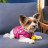 Бомбер для тварин Pet Fashion Grace XS (4823082430147)