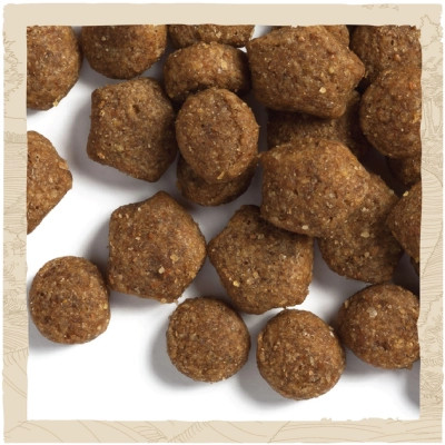 Сухий корм для собак Purina Dog Chow Puppy Lamb зі смаком ягняти 2.5 кг (7613034488657)