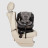Автокрісло Carrello Asteroid CRL-12801/2 Lunar Beige (CRL-12801/2 lunar beige)