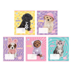 Зошит Kite Studio Pets 12 аркушів, клітинка (SP24-232)