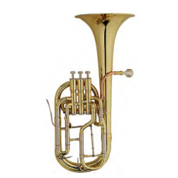Горн Maxtone Alto Horn (TAC53 RNL)