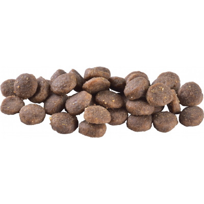 Сухий корм для собак Brit Care Dog Grain-free Puppy з лососем 12 кг (8595602558803)