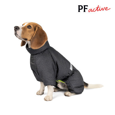 Комбінезон для тварин Pet Fashion &quot;COLD&quot; 4XL (сірий) (4823082426386)