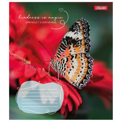 Зошит 1 вересня А5 1В Butterfly 36 аркушів лінія (767340)