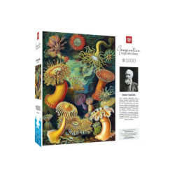Пазл GoodLoot Imagination: Ernst Haeckel: Sea Anemones 1000 ел. (5908305244943)