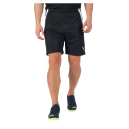 Шорти Puma teamLIGA Shorts 704924-03 чорний M (4063699144826)