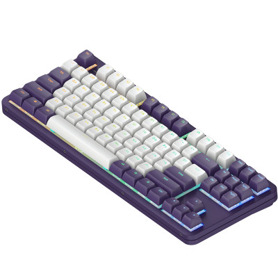 Клавіатура Dark Project ALU87 Celestial ABS RGB Mech G3MS Voidstone USB Violet (DPKB_VIOLET_87_ANSI_UA)