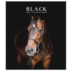 Зошит Школярик Black classic 96 аркушів лінія (096-3388L)