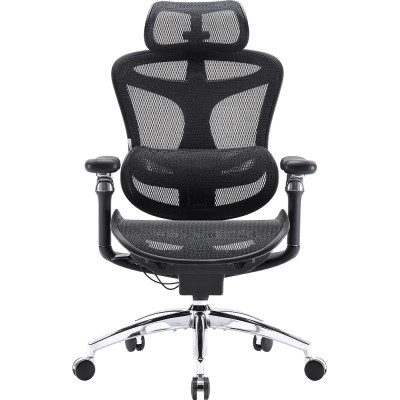 Офісне крісло Sihoo DORO C300 Pro Mesh Black (DORO-C300-PRO-M101)