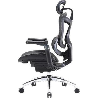 Офісне крісло Sihoo DORO C300 Pro Mesh Black (DORO-C300-PRO-M101)