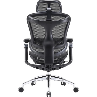 Офісне крісло Sihoo DORO C300 Pro Mesh Black (DORO-C300-PRO-M101)