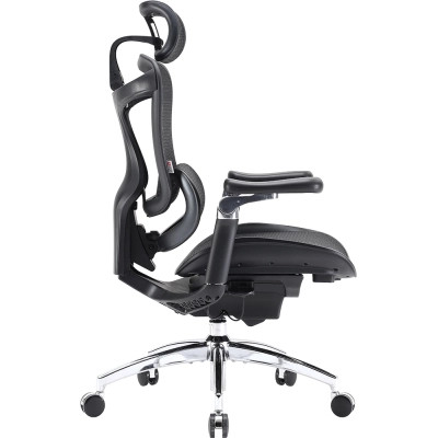 Офісне крісло Sihoo DORO C300 Pro Mesh Black (DORO-C300-PRO-M101)