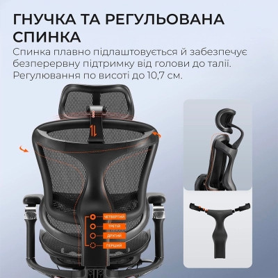 Офісне крісло Sihoo DORO C300 Pro Mesh Black (DORO-C300-PRO-M101)