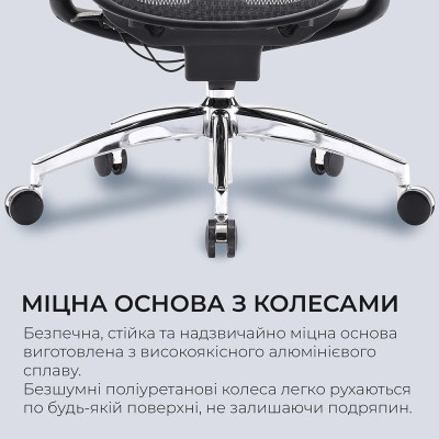 Офісне крісло Sihoo DORO C300 Pro Mesh Black (DORO-C300-PRO-M101)