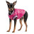 Бомбер для тварин Pet Fashion Grace М (4823082430178)
