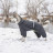 Комбінезон для тварин Pet Fashion &quot;COLD&quot; SM (сірий) (4823082426263)