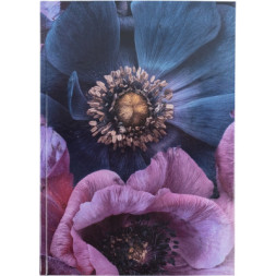 Книга записна Axent Flora А4 у твердій обкладинці 192 аркуші клітинка, фіолетова (8423-25-A)