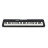 Синтезатор Casio CT-S300 (222031)