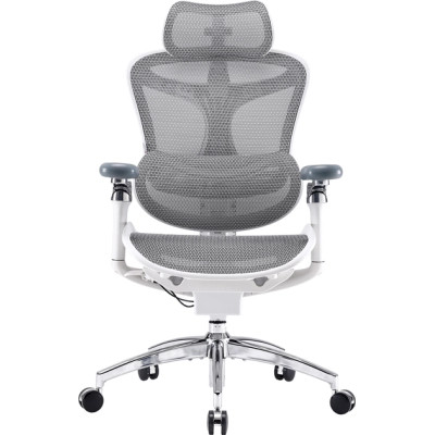 Офісне крісло Sihoo DORO C300 Pro Mesh White (DORO-C300-PRO-M102)