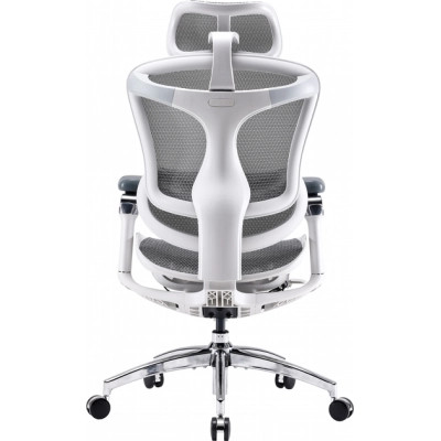 Офісне крісло Sihoo DORO C300 Pro Mesh White (DORO-C300-PRO-M102)