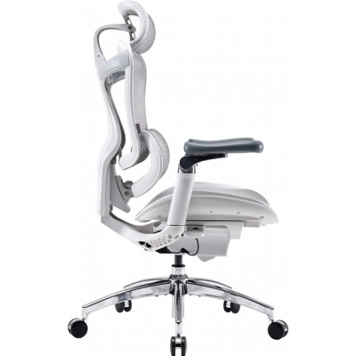 Офісне крісло Sihoo DORO C300 Pro Mesh White (DORO-C300-PRO-M102)