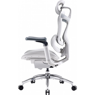 Офісне крісло Sihoo DORO C300 Pro Mesh White (DORO-C300-PRO-M102)