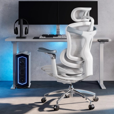 Офісне крісло Sihoo DORO C300 Pro Mesh White (DORO-C300-PRO-M102)