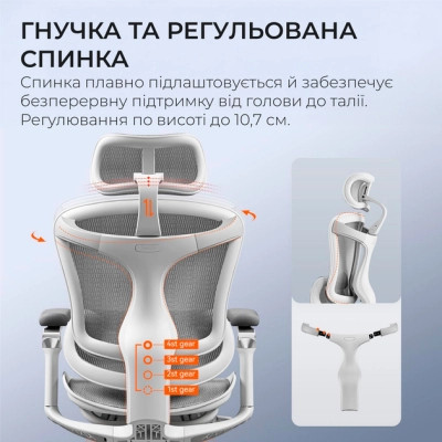 Офісне крісло Sihoo DORO C300 Pro Mesh White (DORO-C300-PRO-M102)