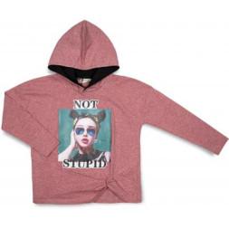 Кофта дитяча RG &quot;NOT STUPID&quot; (3111-140G-red)