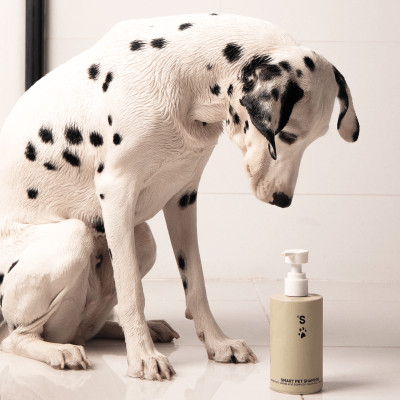 Шампунь для тварин Sister&#039;s Aroma Smart Pet Shampoo 250 мл (4820227781720)